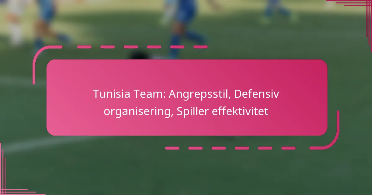 Tunisia Team: Angrepsstil, Defensiv organisering, Spiller effektivitet