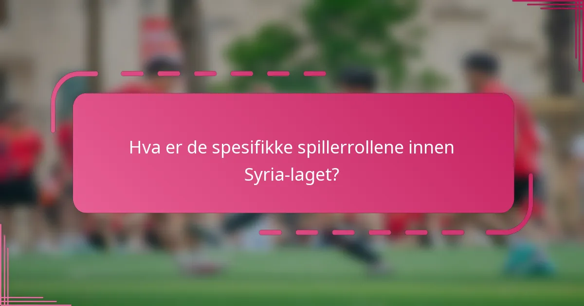 Hva er de spesifikke spillerrollene innen Syria-laget?