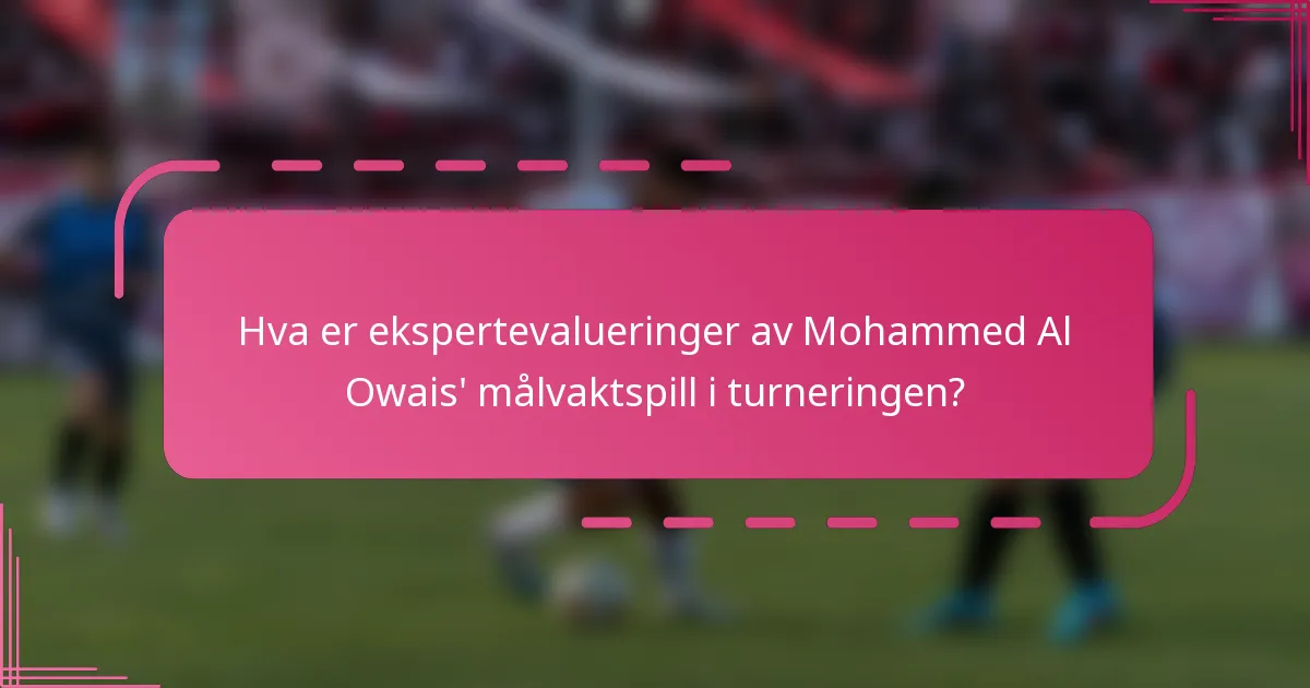 Hva er ekspertevalueringer av Mohammed Al Owais' målvaktspill i turneringen?